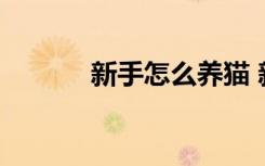 新手怎么养猫 新手养猫的方法