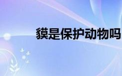 貘是保护动物吗 貘是保护动物不