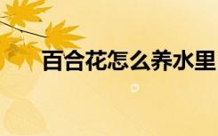 百合花怎么养水里 百合花如何养水里