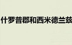 什罗普郡和西米德兰兹郡的学校呼吁增加资金