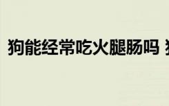 狗能经常吃火腿肠吗 狗是否能经常吃火腿肠