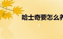 哈士奇要怎么养 如何养哈士奇