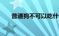 普通狗不可以吃什么 狗不可以吃什么