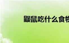 鼹鼠吃什么食物 鼹鼠吃什么的