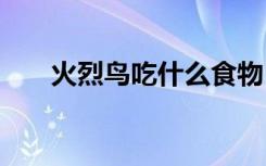 火烈鸟吃什么食物 火烈鸟一般吃什么