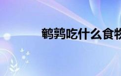 鹌鹑吃什么食物 鹌鹑吃啥食物
