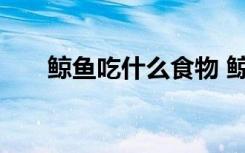 鲸鱼吃什么食物 鲸鱼有什么习性特点