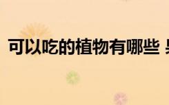 可以吃的植物有哪些 果子可以吃的植物介绍