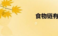 食物链有分解者吗