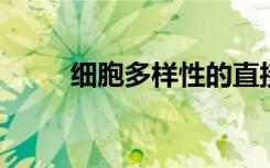 细胞多样性的直接原因和根本原因