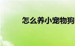 怎么养小宠物狗 如何养小宠物狗