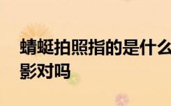 蜻蜓拍照指的是什么 蜻蜓拍照指的是微距摄影对吗