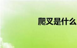 爬叉是什么 什么是爬叉