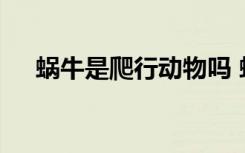 蜗牛是爬行动物吗 蜗牛是不是爬行动物