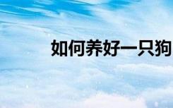如何养好一只狗 养好一只狗方法