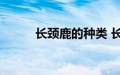 长颈鹿的种类 长颈鹿的种类介绍
