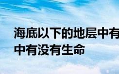 海底以下的地层中有生命吗 海底以下的地层中有没有生命