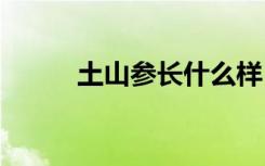 土山参长什么样 土山参长成怎样