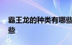霸王龙的种类有哪些 关于霸王龙的种类有哪些