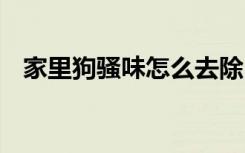家里狗骚味怎么去除 家里狗骚味去除方法