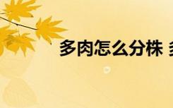 多肉怎么分株 多肉分株的方法
