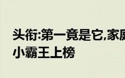 头衔:第一竟是它,家庭体感游戏机排行榜两款小霸王上榜