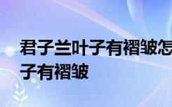 君子兰叶子有褶皱怎么办 如何解决君子兰叶子有褶皱