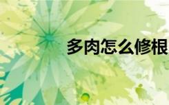 多肉怎么修根 多肉如何修根