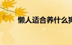 懒人适合养什么狗 懒人适合养的狗