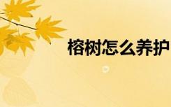 榕树怎么养护 榕树如何养护