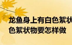 龙鱼身上有白色絮状物怎么办 龙鱼身上有白色絮状物要怎样做