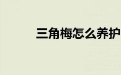 三角梅怎么养护 三角梅如何养护