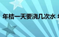 年桔一天要浇几次水 年桔一天浇水次数介绍
