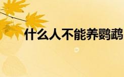 什么人不能养鹦鹉 哪些人不能养鹦鹉