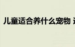 儿童适合养什么宠物 适合儿童养的几种犬类
