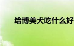 给博美犬吃什么好 博美可以啃骨头吗