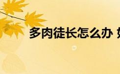 多肉徒长怎么办 如何解决多肉徒长