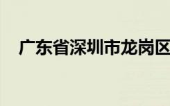 广东省深圳市龙岗区布吉中心小学怎么样
