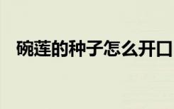 碗莲的种子怎么开口 碗莲的种子如何开口