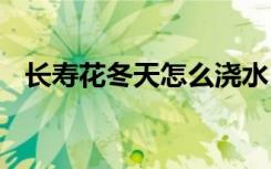 长寿花冬天怎么浇水 长寿花冬天如何浇水