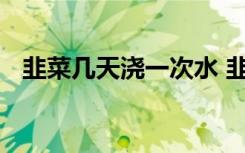 韭菜几天浇一次水 韭菜多长时间浇水一次
