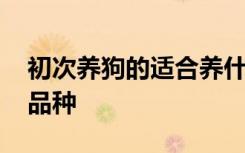 初次养狗的适合养什么 初次养狗的适合养啥品种