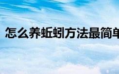 怎么养蚯蚓方法最简单 养蚯蚓最简单的方法