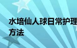 水培仙人球日常护理方法 水培仙人球的具体方法