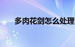 多肉花剑怎么处理 多肉花剑如何处理
