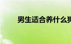 男生适合养什么狗 适合男生养的狗