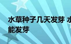 水草种子几天发芽 水草种子要怎么种几天才能发芽