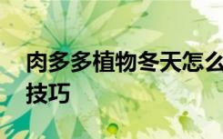 肉多多植物冬天怎么养 冬季养护多肉植物的技巧