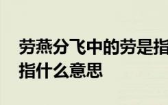劳燕分飞中的劳是指什么 劳燕分飞中的劳是指什么意思