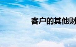 客户的其他财务特征不包括